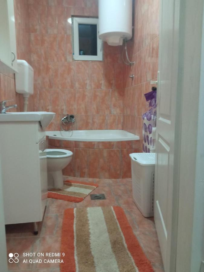 Apartman ,,Milica" Donji Milanovac Exterior foto